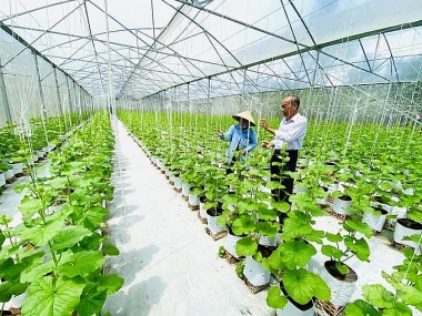 Giải pháp đảm bảo lợi ích kinh tế của thành viên hợp tác xã nông nghiệp ở TP. Cần Thơ dưới tác động của biến đổi khí hậu