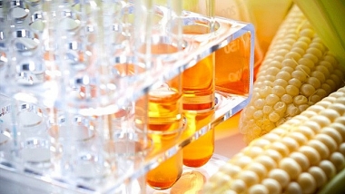 Các sản phẩm đường lỏng HFCS từ Trung Quốc và Hàn Quốc đang bán phá giá tại Việt Nam