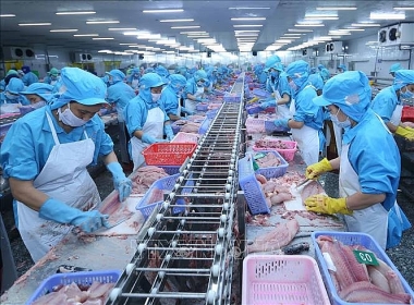 Phòng vệ thương mại đóng vai trò quan trọng khi thực thi các FTA