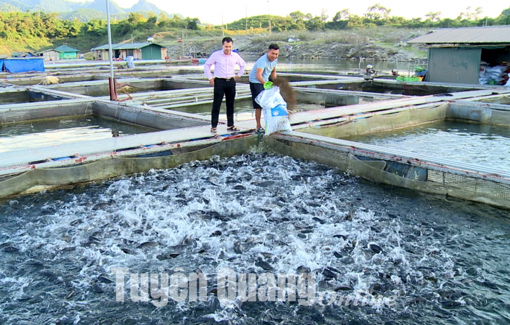 Phát huy hiệu quả từ nguồn vốn vay ưu đãi của Quỹ Quốc gia về việc làm kênh Trung ương Đoàn