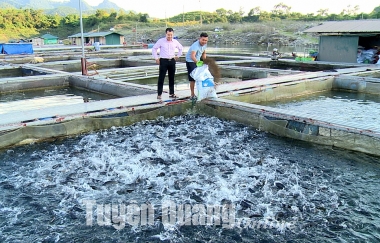 Phát huy hiệu quả từ nguồn vốn vay ưu đãi của Quỹ Quốc gia về việc làm kênh Trung ương Đoàn