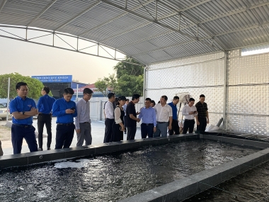 Hải Dương thúc đẩy nhiều giải pháp thúc đẩy thanh niên khởi nghiệp, lập nghiệp