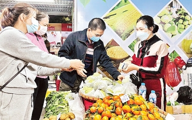 CPI năm 2021 chỉ tăng 1,84%