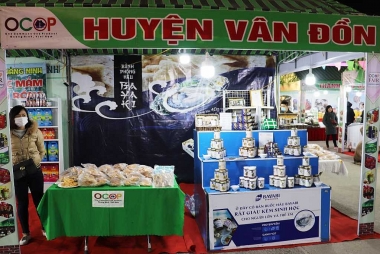 Năm 2023, huyện Vân Đồn (tỉnh Quảng Ninh) duy trì tốc độ tăng trưởng cao
