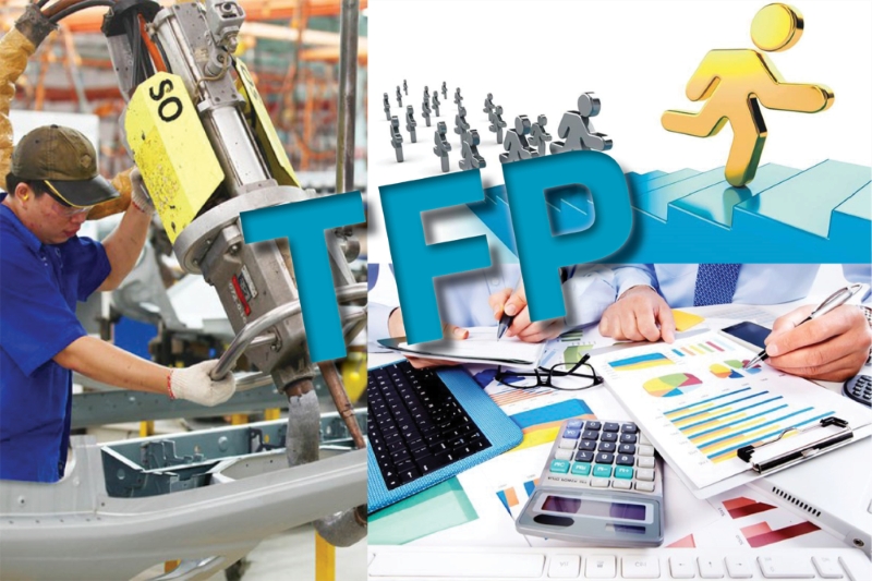 Đóng góp TFP vào giá trị gia tăng của các ngành kinh tế tỉnh Bà Rịa – Vũng Tàu: Tiếp cận dữ liệu doanh nghiệp
